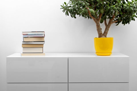 white commode with stack of books and flower pot